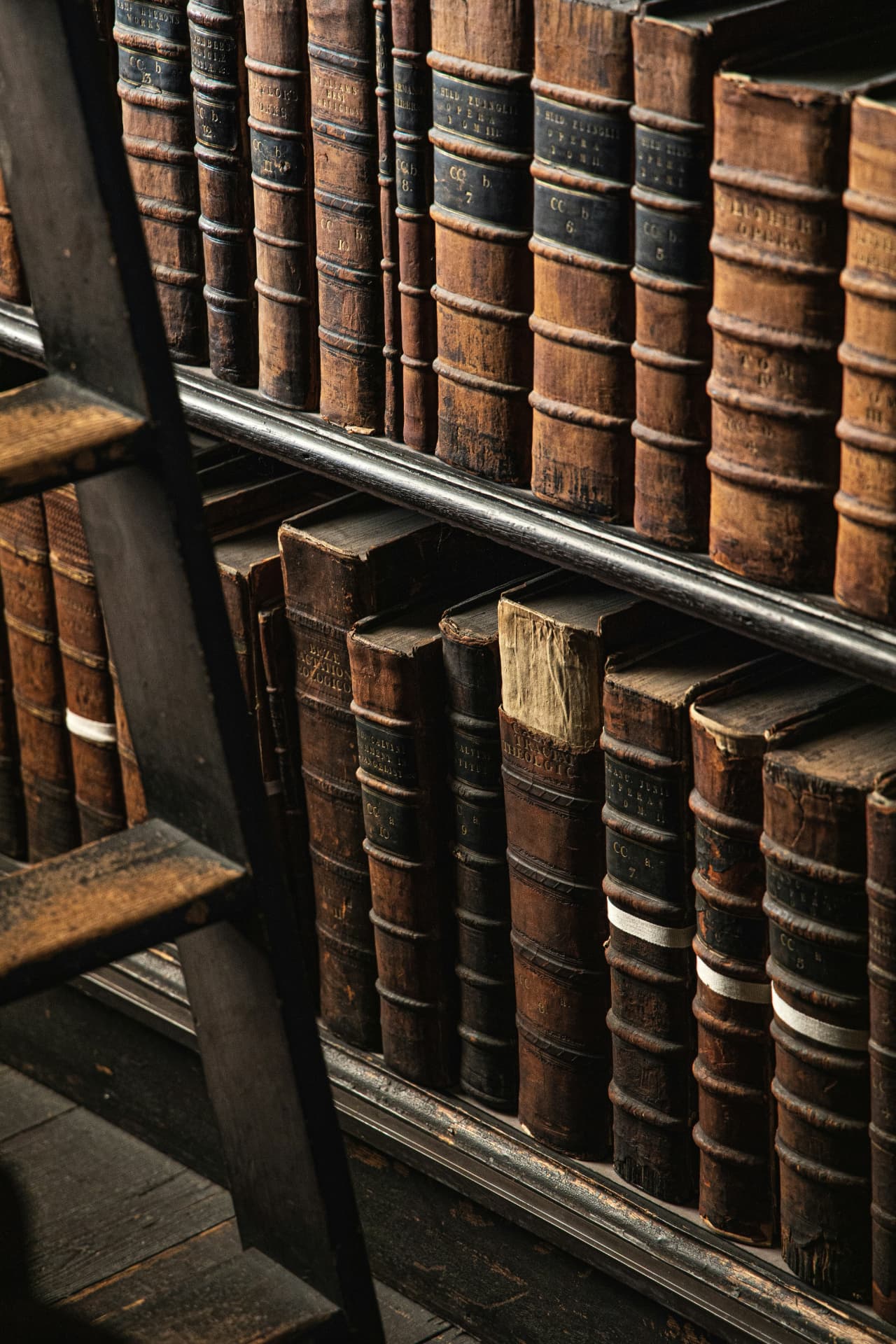Rows of antique leather-bound volumes on the shelves of a seminary library, lit by warm low light